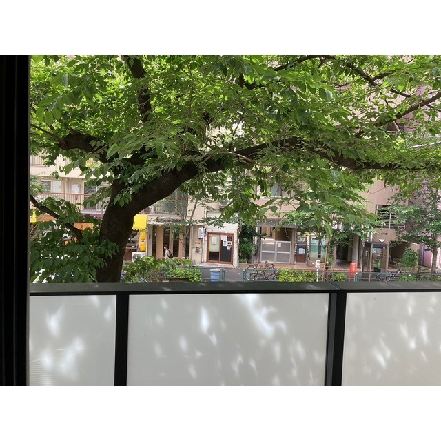 ルネサンスコート中野の展望