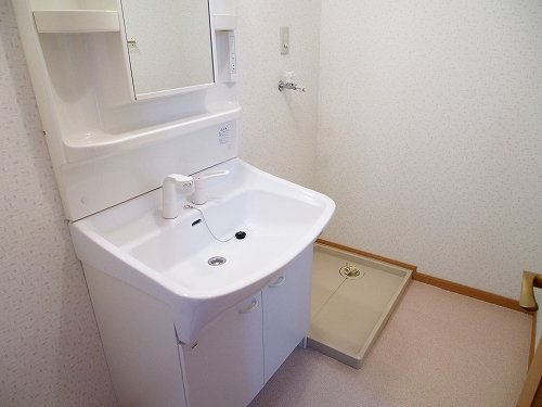 フラッツ・アイⅡの洗面所