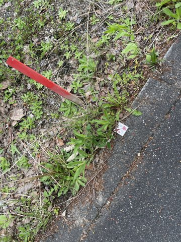 西脇和田町売土地の外観