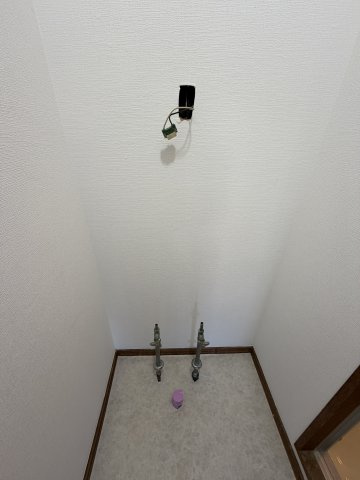 ロイヤル石井の洗面所