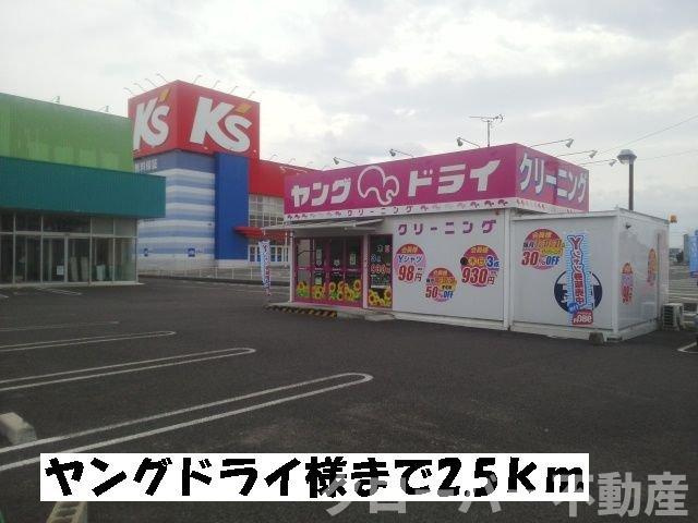 フラット・ハイムＢの周辺|ヤングドライまで2500m