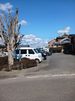 【駐車場】 | パインツリー