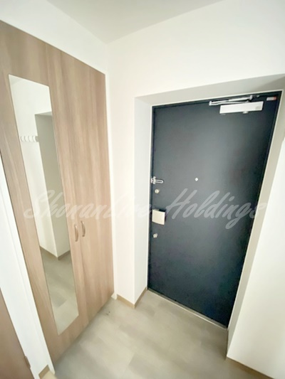 藤沢市弥勒寺１丁目の賃貸マンションの玄関