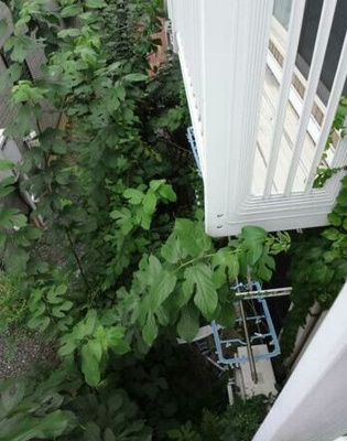 【バルコニー】 | マルチステップ | ベランダ