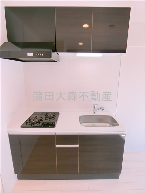 Forest　capeのキッチン|2口ガスシステムキッチン