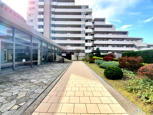 の-の画像