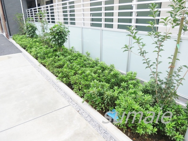 リブリ・アヴニール・ドレのその他|植栽です☆