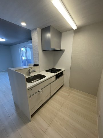プレミスト新八代のキッチン