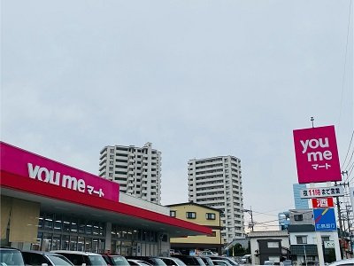 レオネクストサツキ荘の周辺