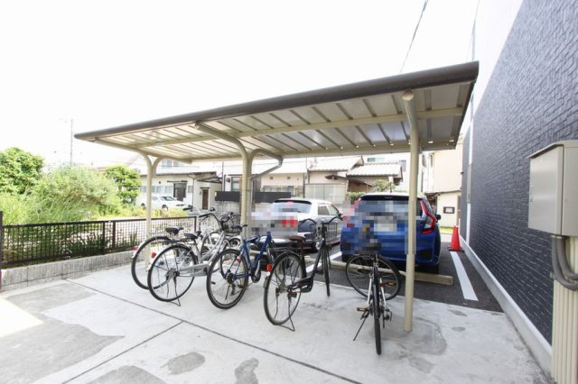 レオネクストミドリソウのその他