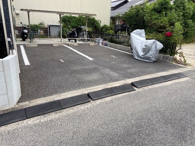 レオネクストミドリソウのその他