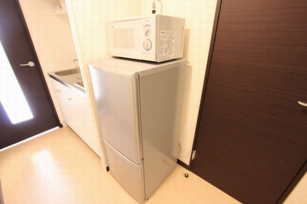 レオネクストミドリソウのその他|※写真と現状が異なる場合は現状を優先