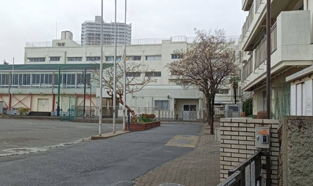 ビックヴァン二俣川ホームズの周辺|二俣川小学校です。広い校庭がありお友達と楽しい時間が過ごせそうですね。
