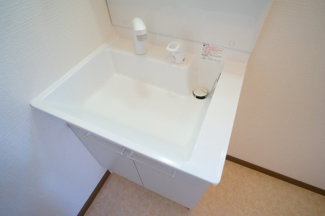 奈良市法蓮町の一戸建ての洗面所