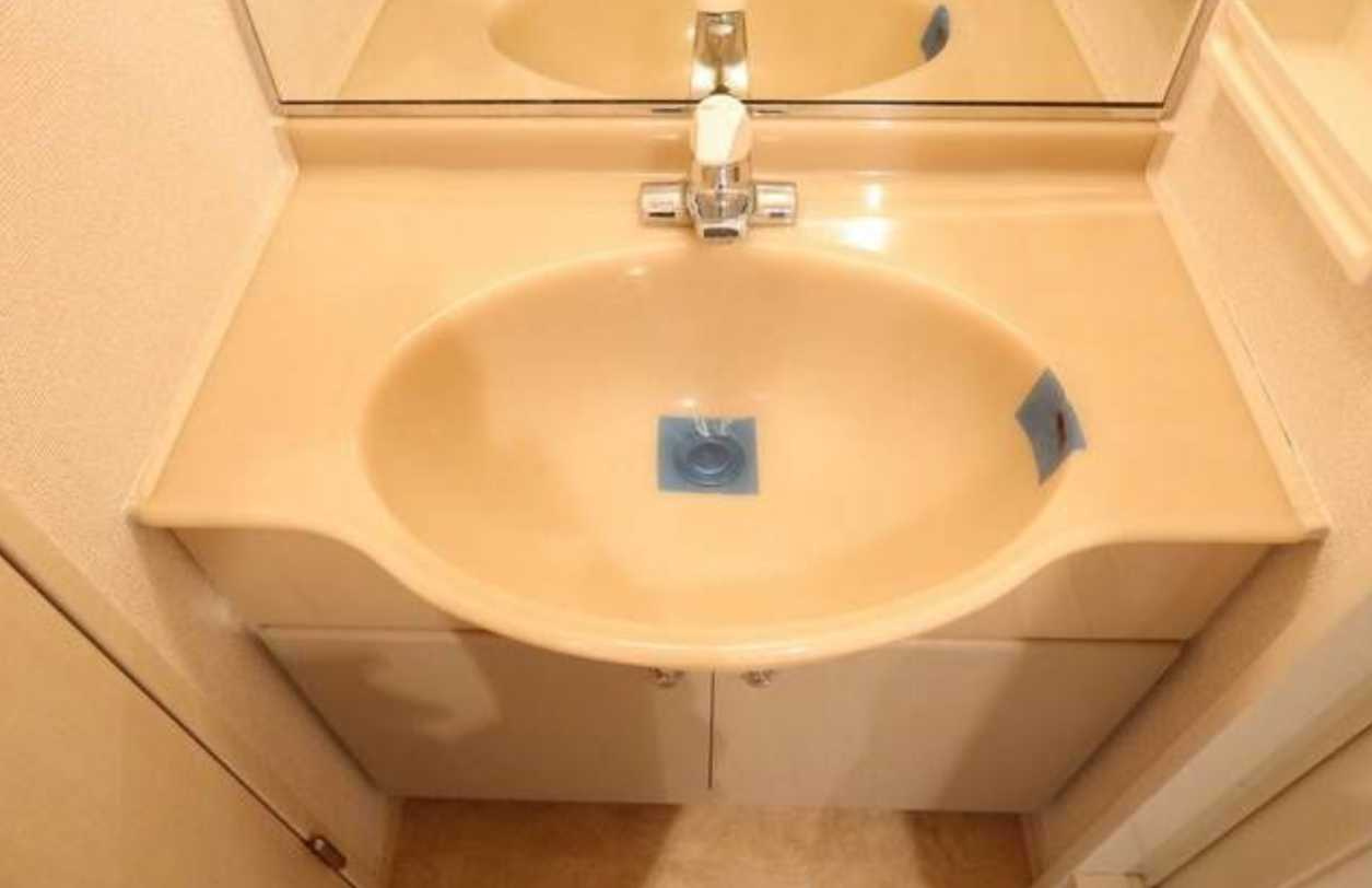 HF駒沢公園レジデンスTOWER　タワー型マンション　駅近　礼金０の洗面所