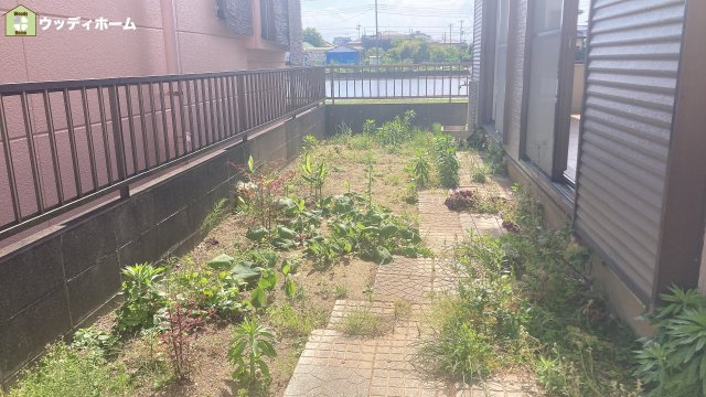 草加市中根3丁目　中古一戸建ての庭