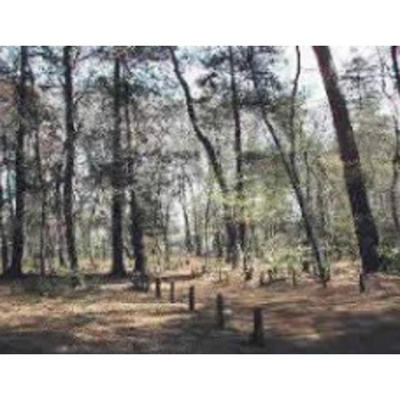 【周辺】 | 練馬錦ハイム | 公園「練馬区立にしき公園まで130ｍ」氷川台緑地