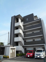 パインニードルの画像