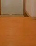 ラ・スカリナータ