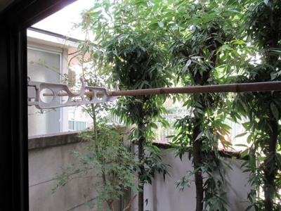 【展望】 | サザンコーポ