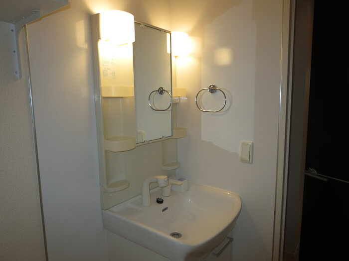 サンロイヤル こがねの洗面所