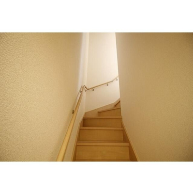 【その他】 | アムール　Ｓｔａｒ