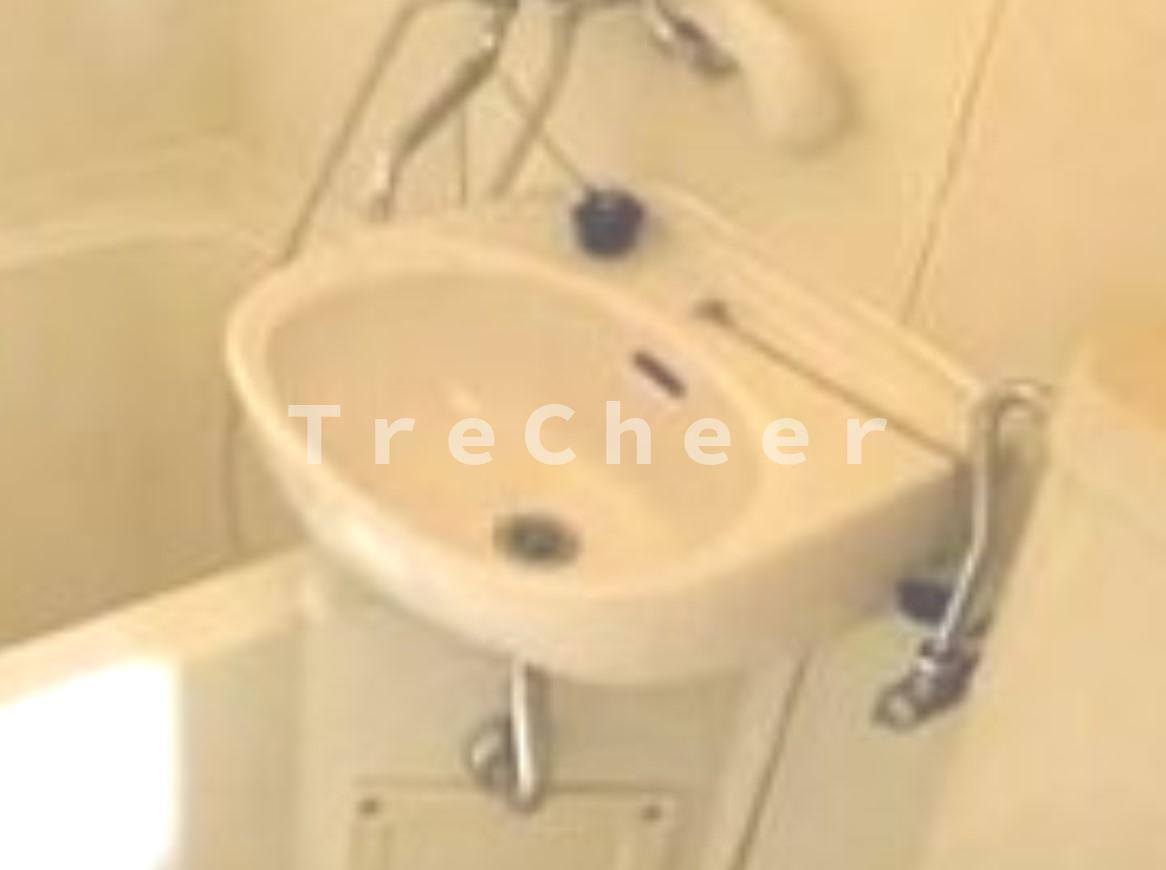 ライベストコート常盤台の洗面所