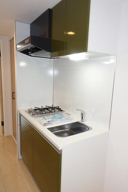 パティーナウィリア武蔵小杉のキッチン|キッチンです