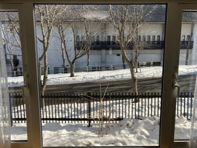 【洋室】 | 住吉2丁目79-2，83-6，1-16，1-17売家 | 1階洋室のお部屋です♪