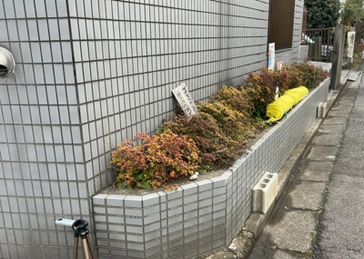 【庭】 | ノアパレス相南 | 物件によっては、入居者が個人的に使用できる専用庭がついているものもあります。また、住宅の中にある土間の部分を庭と呼ぶこともあります。庭の用途は住む人によって変わり、それによってデザインもさまざまです。