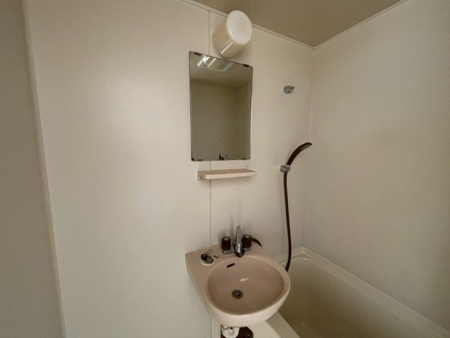 エクセルハイツの洗面所