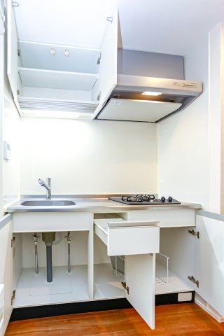 サヴォイブロンズガーデニア　2階のキッチン|別号室です。現状優先になります。