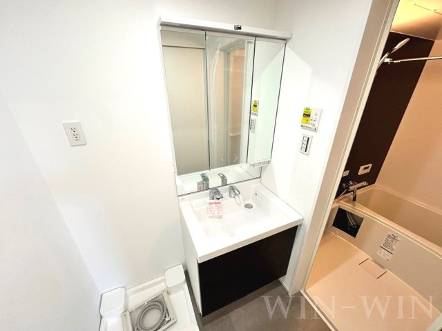 Jack hanada Ⅰの洗面所