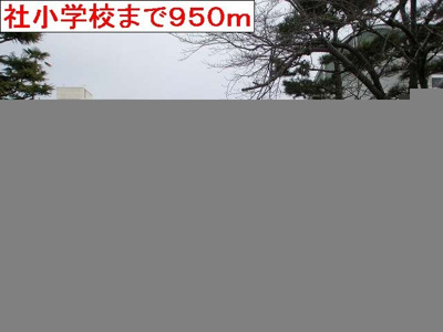 【周辺】 | シンヴィオシスＡ | 社小学校まで950m