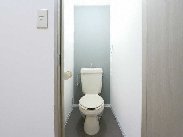 大阪市城東区今福東２丁目の賃貸マンションのトイレ