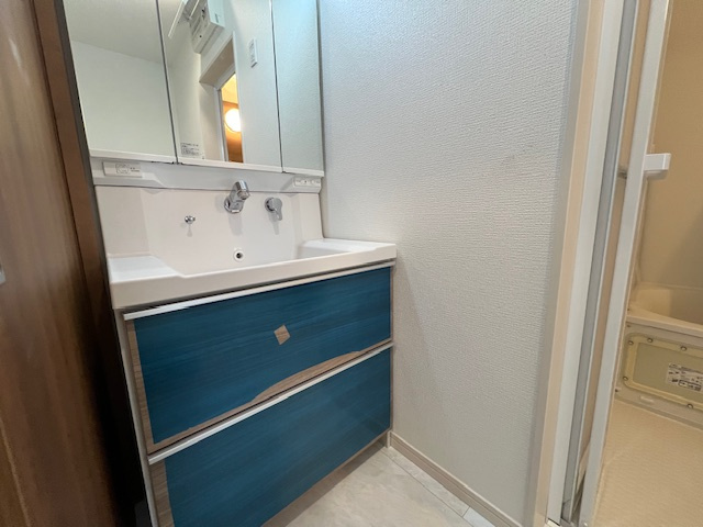 【独立洗面台】 | 湘南台1丁目　新築戸建て　2区画 | 朝の身支度には欠かせない独立洗面化粧台