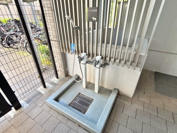 の-の画像