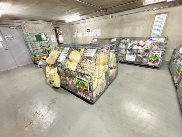 の-の画像