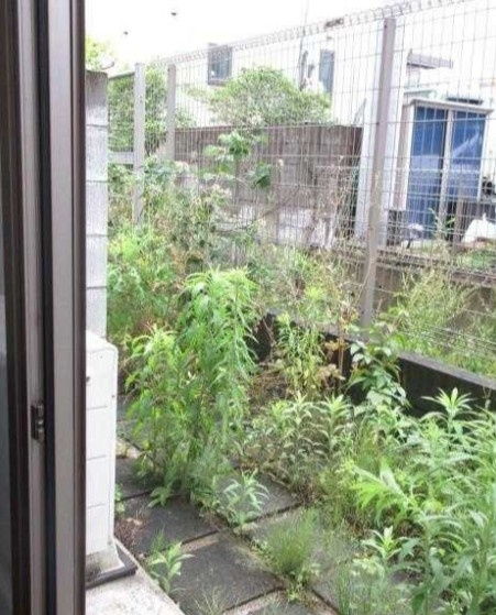 Ｖｉｌｌａ　５１０　Ｎｏ．５の展望