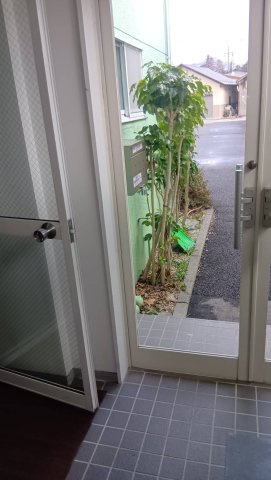 【エントランス】 | MTビル