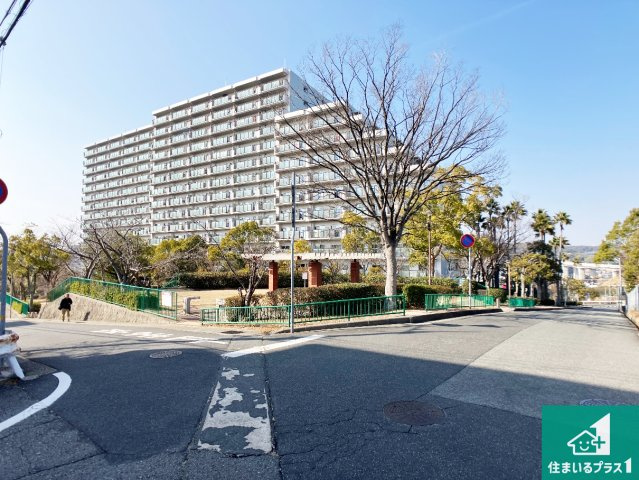 パームスクエアジェームス山の外観|周辺は閑静な住宅街！前面道路広々で車の出し入れも便利です。駐車が苦手な方でも安心して車庫入れできます！