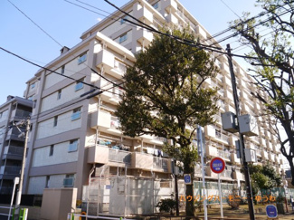 【外観】 | ＲＣ造のしっかりとした建物です。開放的な立地です。
