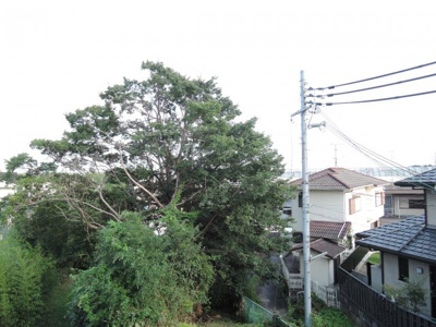 【展望】 | ポルタス