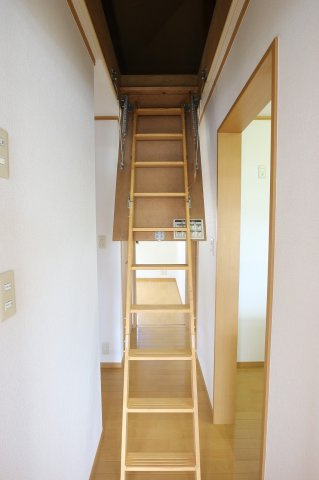 江戸川区谷河内2丁目一戸建の内装|物件の内装です