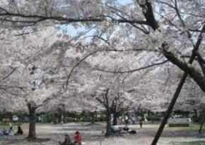 【周辺】 | ブルックサイドレジデンス木場