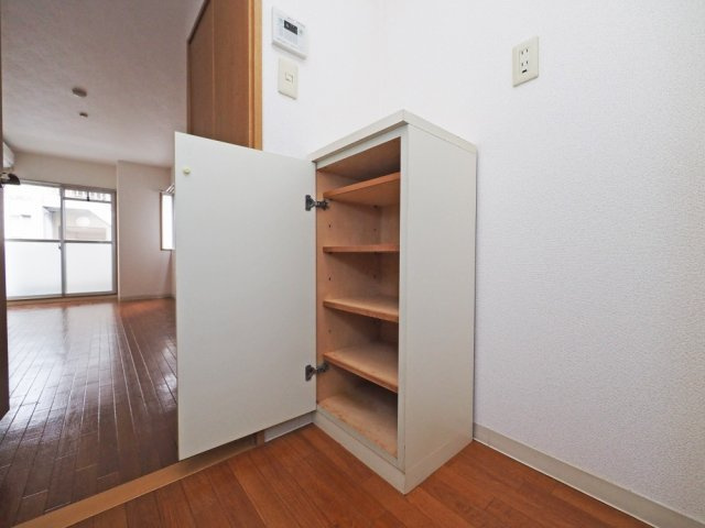 大阪市中央区和泉町１丁目の賃貸マンションの収納