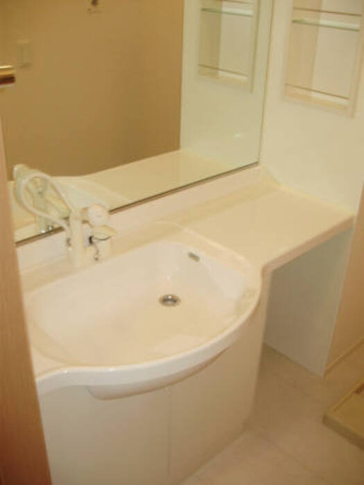 メゾン ド フォレの洗面所