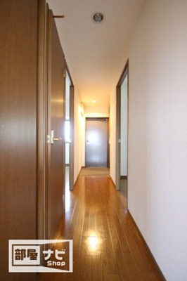 【その他】 | サウスフォレスト