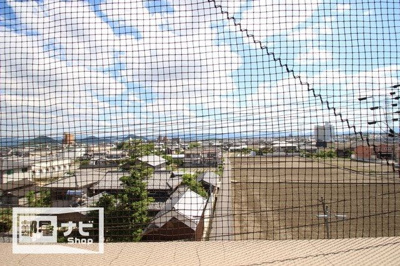 【その他】 | サウスフォレスト