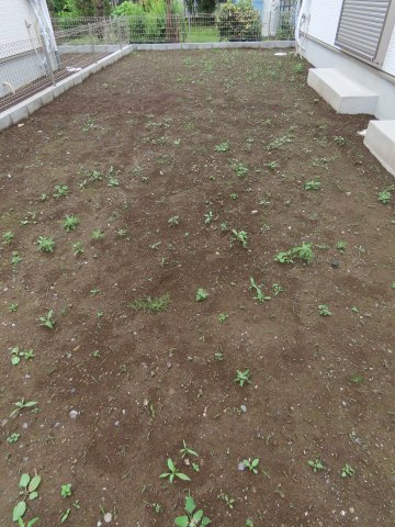坂戸市にっさい花みず木新築戸建の庭